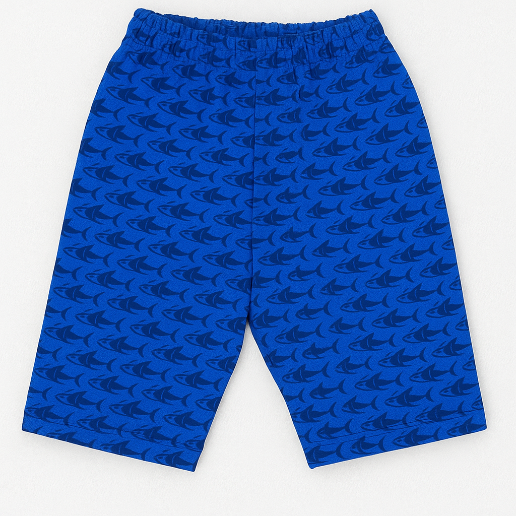 Royal blue kids pajama set with multicolored dinosaur print – T-shirt and matching pants