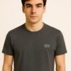 olded charcoal grey Lacoste T-shirt with embroidered green crocodile logo on the chest